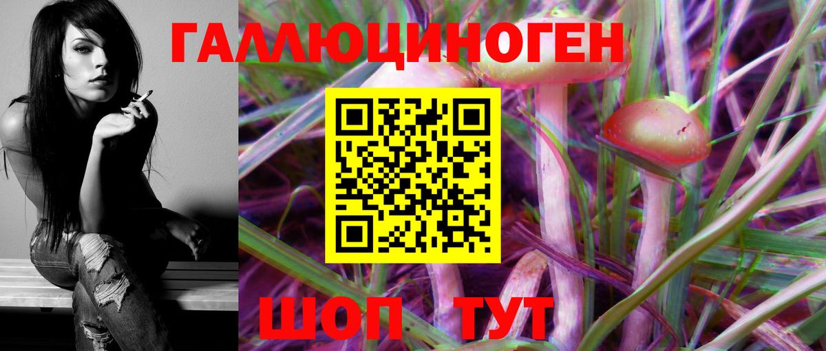 где купить   Вход с VPN  Узловая  Галлюциногенные грибы мухоморы 