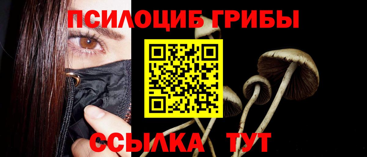 Псилоцибиновые грибы GOLDEN TEACHER Узловая